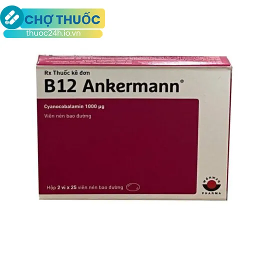 B12 Ankermann
