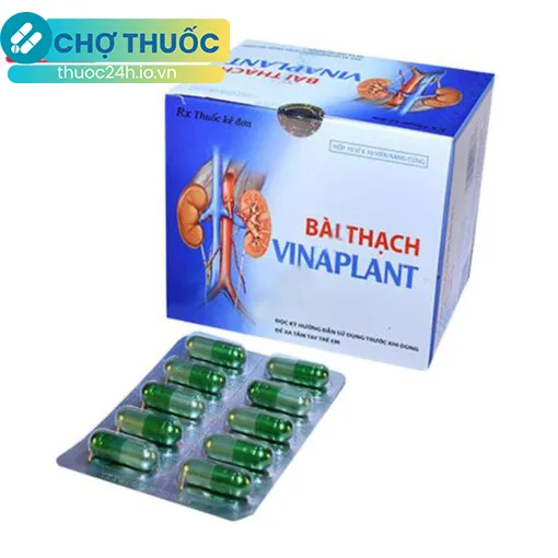 Bài Thạch Vinaplant