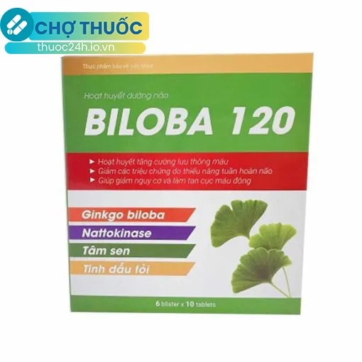 Biloba 120