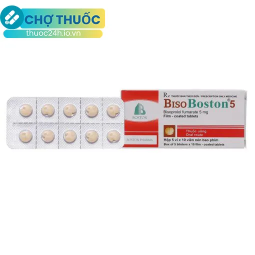 BisoBoston 5