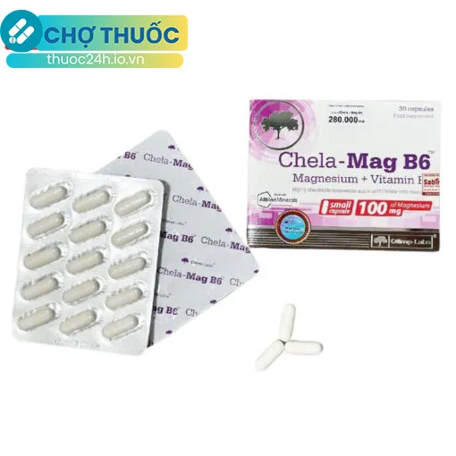 Chela-Mag B6