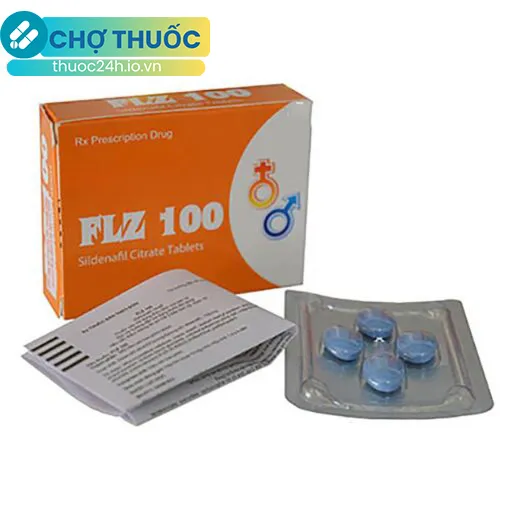 FLZ 100