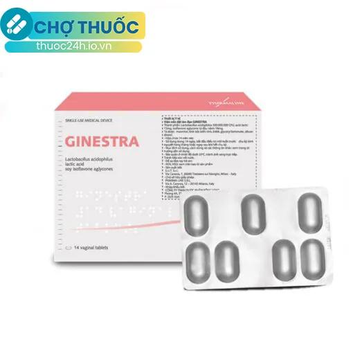 Ginestra