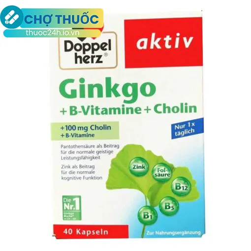 Ginkgo + B-Vitamine + Choline Doppelherz