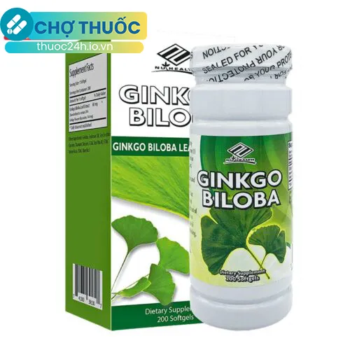 Ginkgo Biloba Polvita