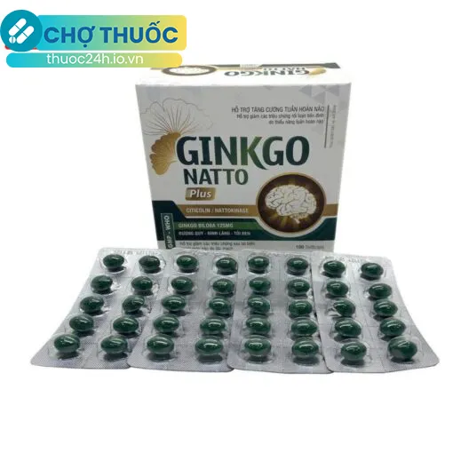 Ginkgo Natto Plus Vinaphar