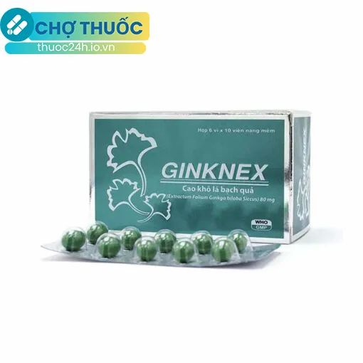 Ginknex