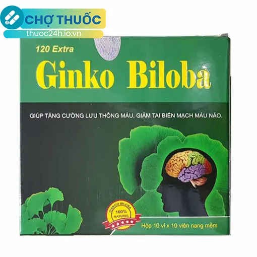 Ginko Biloba 120 Extra