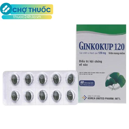 Ginkokup 120