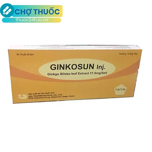 Ginkosun Inj.