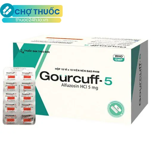 Gourcuff-5
