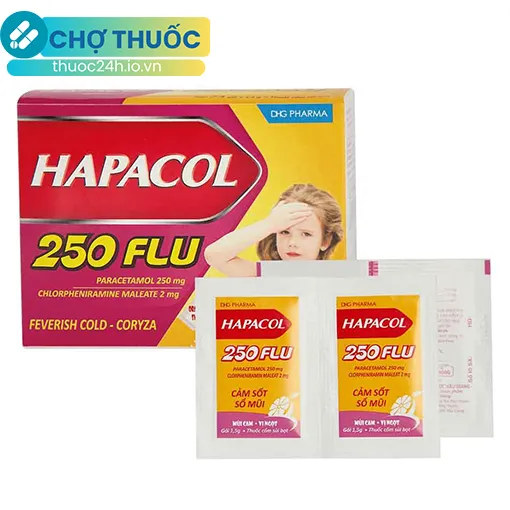 Hapacol 250 Flu