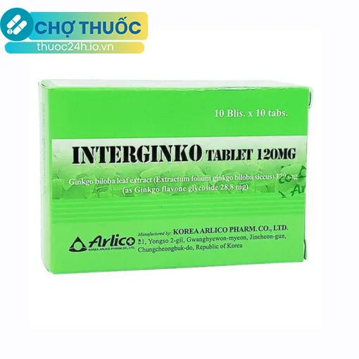 Interginko Tablet 120mg