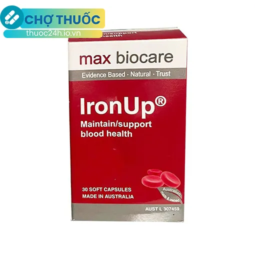 Iron Up max biocare
