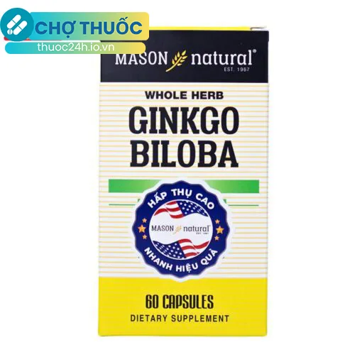 Mason Natural Ginkgo Biloba