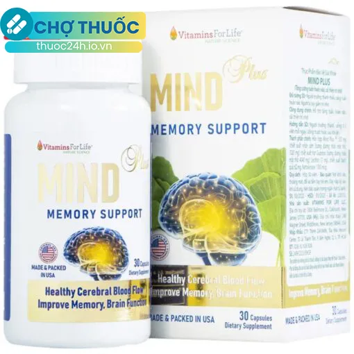 Mind Plus