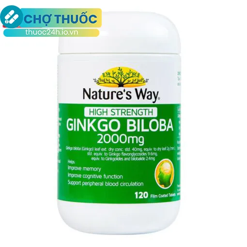 Nature’s Way Ginkgo Biloba 2000mg