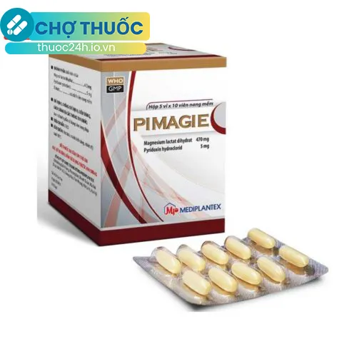 Pimagie