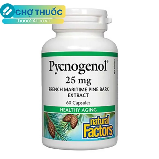 Pycnogenol 25mg Natural Factors