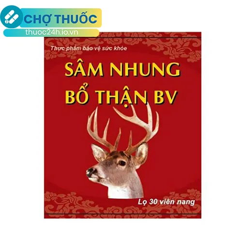 Sâm nhung bổ thận BV