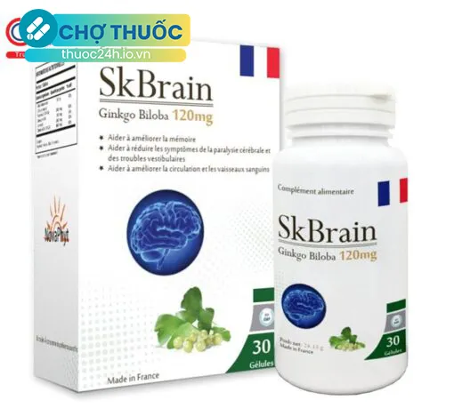 SKBrain Ginkgo Biloba 120mg