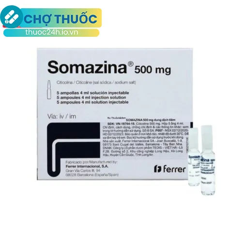 Somazina 500mg