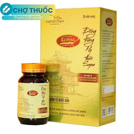 Viên nang Đông Trùng Hạ Thảo Sapa – Traphacosapa