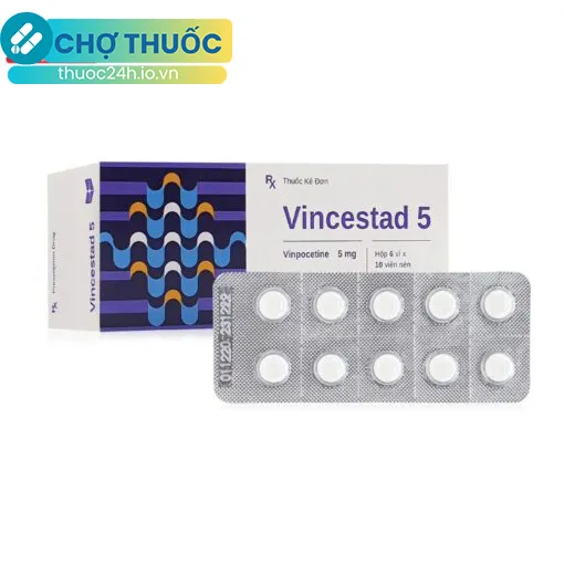 Vincestad 5