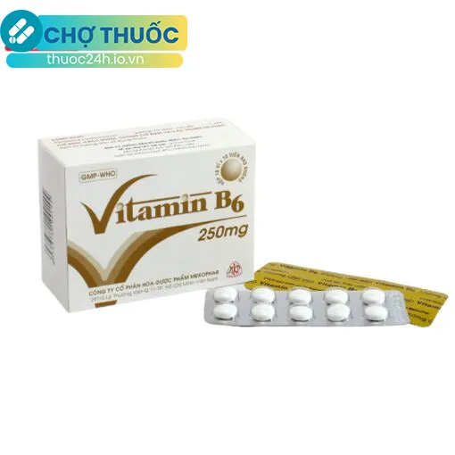 Vitamin B6 250mg Mekophar