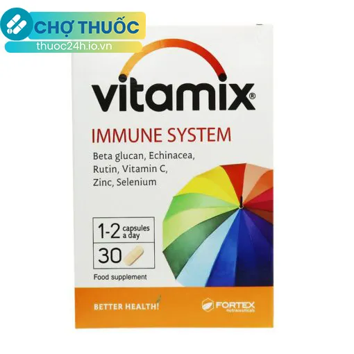 Vitamix Immune System