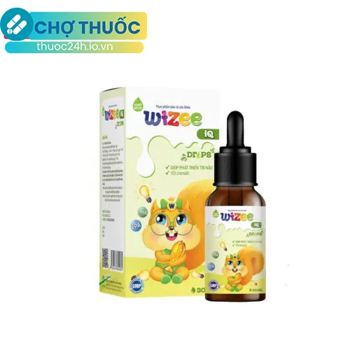 Wizee IQ